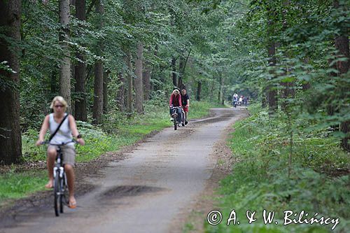 rowerzyści na szlaku rowerowym na wyspie Uznam, Niemcy