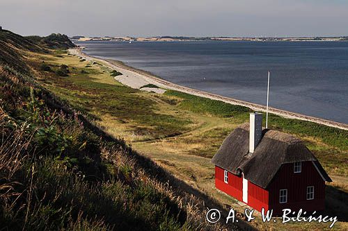 Na wyspie Venø w Limfjordzie, Jutlandia, Dania. Venø island, Limfjord, Denmark. Fot A&W Bilińscy. Bank zdjęc