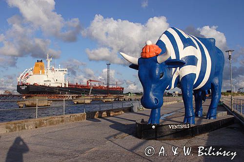 port Ventspils, krowa Marynarz, Łotwa