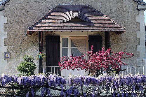 Vianne, Gaskonia, Francja