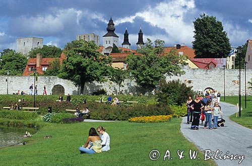Visby na Gotlandii, Stare Miasto, Almedalen