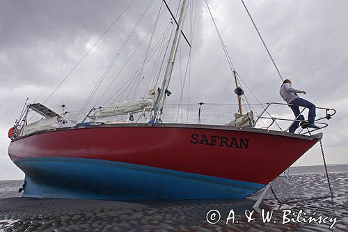 jacht na osuchu w czasie odpływu i mud walking, wycieczki piesze po osuchach na morzu, Warffumerlaag koło Noordpolderzijl, Fryzja, Waddenzee, Holandia, Morze Wattowe