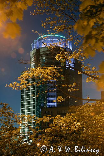 Warszawa wieżowiec TPSA przy ul. Twardej