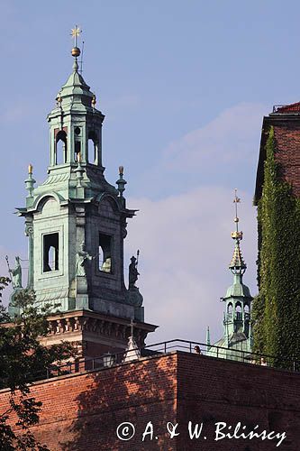 Wieża zegarowa, Katedra na Wawelu, Kraków, Małopolska