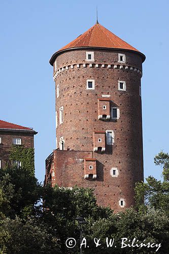 Wieża Senatorska na Wawelu, Kraków, Małopolska