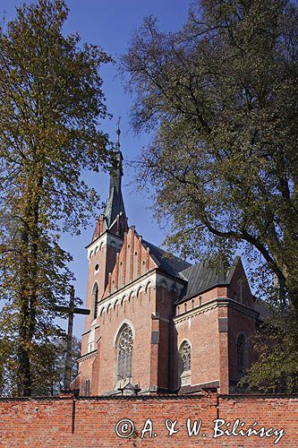 Bazylika Mniejsza pw. św. Wojciecha, Wąwolnica / koło Kazimierza Dolnego/, Kazimierski Park Krajobrazowy