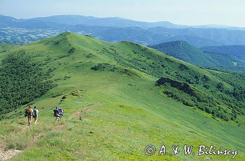 Bieszczady na szlaku na Rozsypaniec