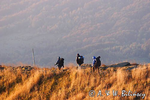 na szlaku, Bieszczady