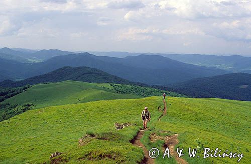 Bieszczady na Bukowym Berdzie