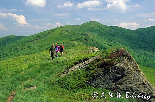 Bieszczady, na Bukowym Berdzie