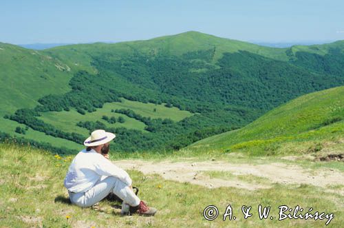 Bieszczady pod Tarnicą widok na Halicz