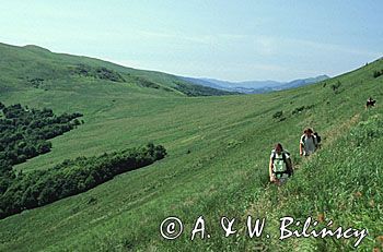 Bieszczady na szlaku na Halicz