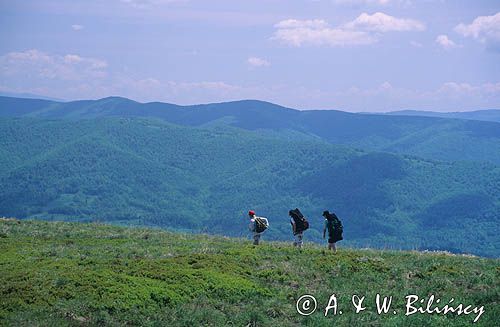Bieszczady na szlaku na Rozsypaniec
