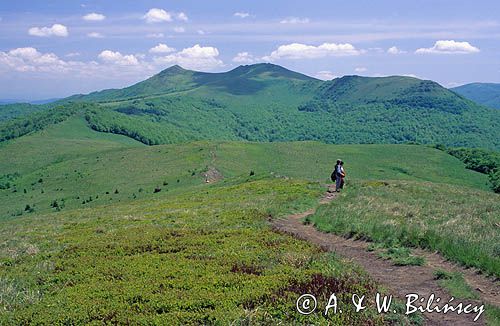 Bieszczady na szlaku ze Smereka na Połoninę Wetlińską