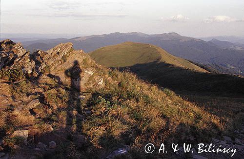 Bieszczady na Połoninie Caryńskiej