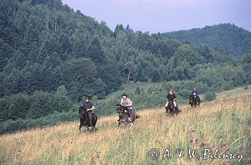 Bieszczady konno na hucułach