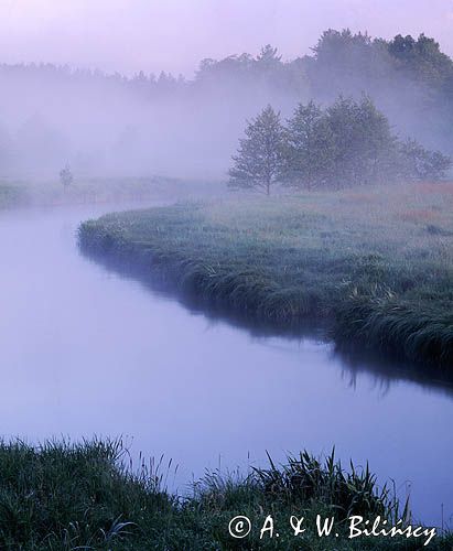 rzeka Wda w Borach Tucholskich, mgła o świcie