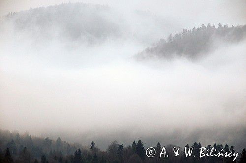 we mgle, Bieszczady