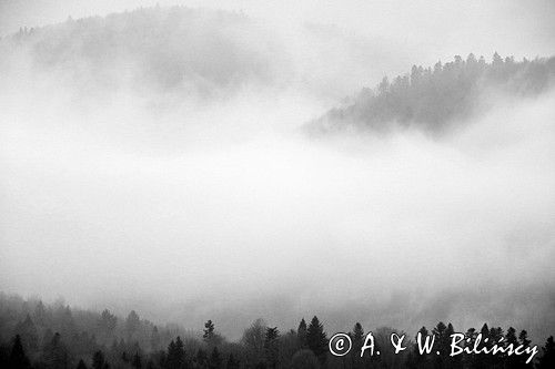 we mgle, Bieszczady