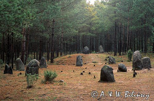 krąg kamienny w Węsiorach na Kaszubach