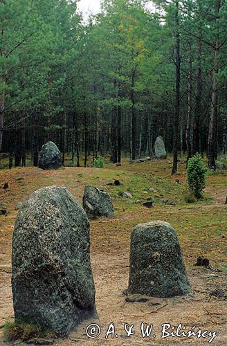 krąg kamienny w Węsiorach na Kaszubach