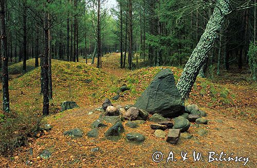 krąg kamienny w Węsiorach na Kaszubach