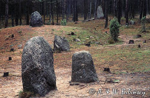 Węsiory kręgi kamienne i kurhany, rezerwat