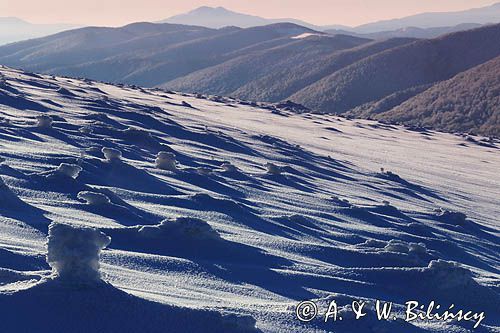 Na stoku Wetlińskiej, Bieszczady