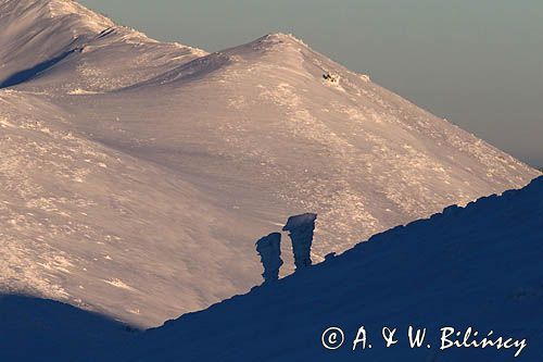 Na Połoninie Wetlińskiej, Bieszczady