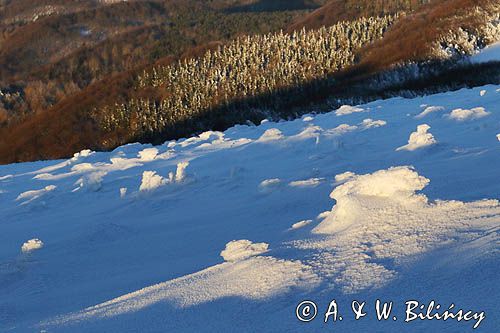 Na Połoninie Wetlińskiej, Bieszczady