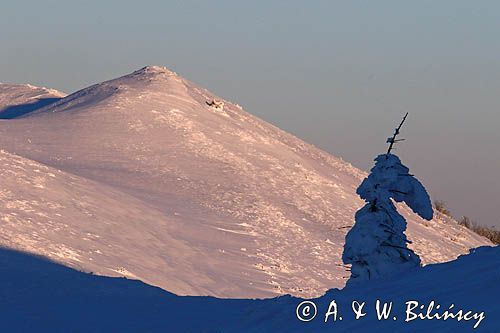 Na Połoninie Wetlińskiej, Bieszczady