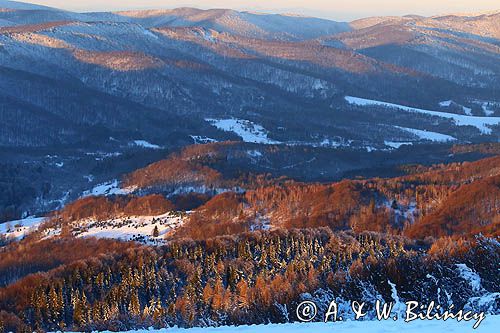 Bieszczadzkie lasy, widok z Połoniny Wetlińskiej, Bieszczady