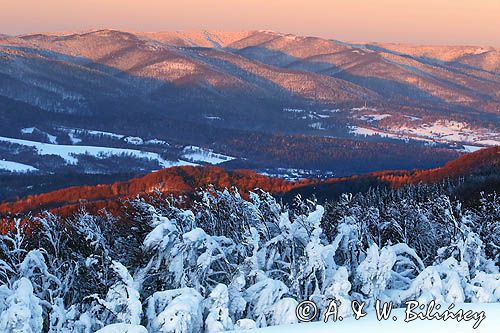 Bieszczadzkie lasy, widok z Połoniny Wetlińskiej, Bieszczady