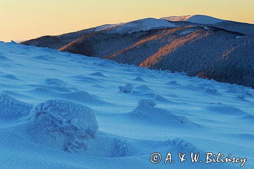 Na Połoninie Wetlińskiej, w tle Rawki, Bieszczady