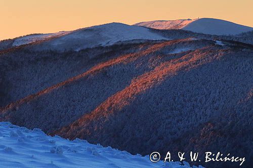 Rawki, widok z Połoniny Wetlińskiej, Bieszczady