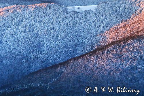 Bieszczadzkie lasy, widok z Połoniny Wetlińskiej, Bieszczady