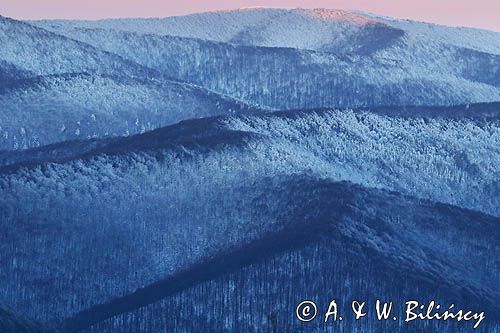 Bieszczadzkie lasy, widok z Połoniny Wetlińskiej, Bieszczady