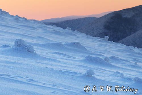 Na Połoninie Wetlińskiej, Bieszczady