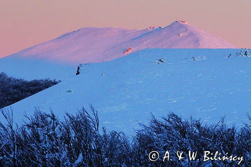 Na Połoninie Wetlińskiej, Bieszczady