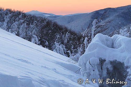 Na Połoninie Wetlińskiej, w tle Tarnica, Bieszczady