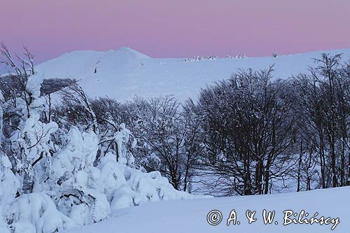 Na Połoninie Wetlińskiej, Bieszczady