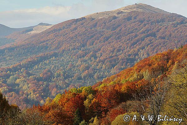 Połonina Wetlińska, Bieszczady