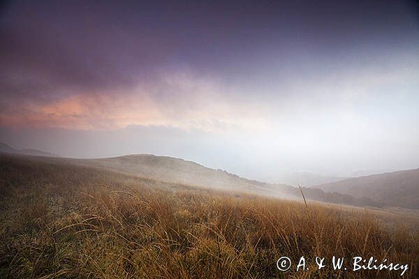 Połonina Wetlińska, Bieszczady