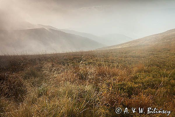 Połonina Wetlińska, Bieszczady