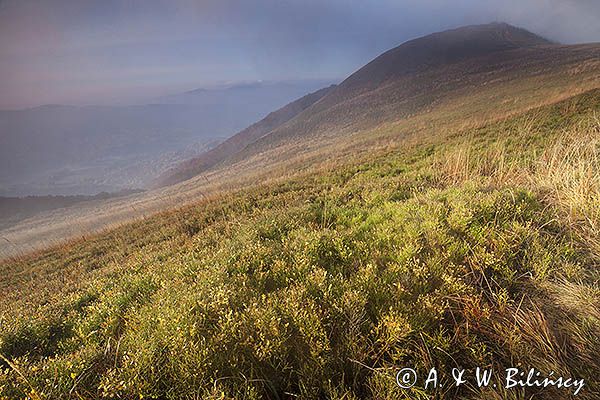 Połonina Wetlińska, Bieszczady