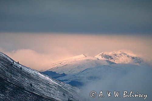 Tarnica w chmurach, poranek na Wetlińskiej, Bieszczady