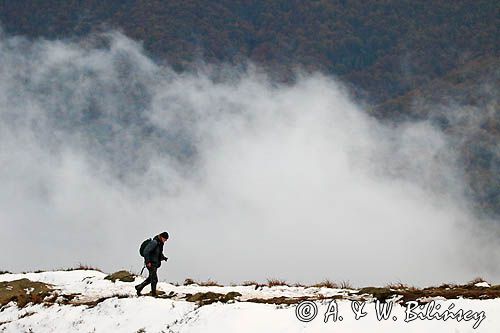 W chmurach, poranek na Wetlińskiej, Bieszczady