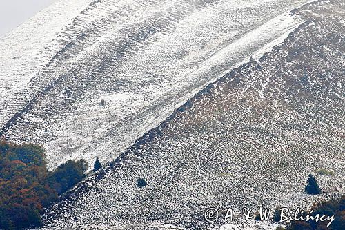 Caryńska, Bieszczady