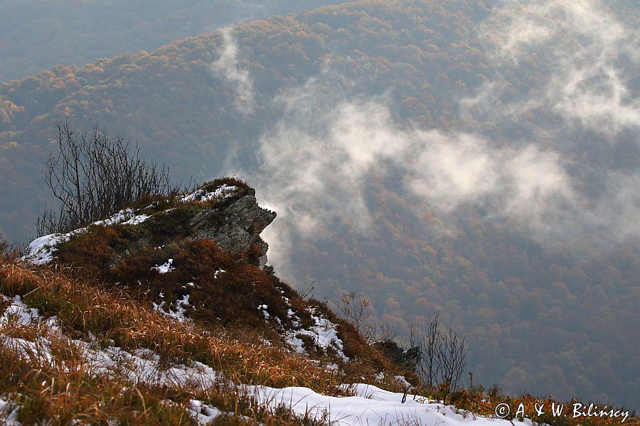 W chmurach, poranek na Wetlińskiej, Bieszczady