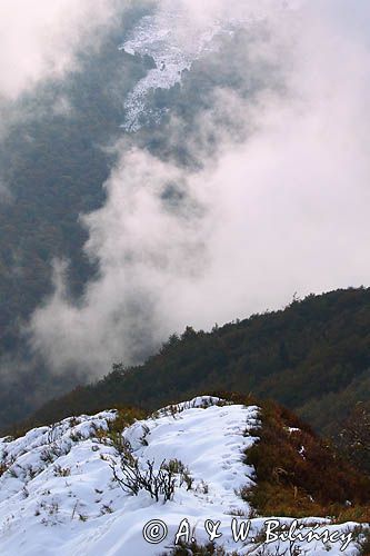 W chmurach, poranek na Wetlińskiej, Bieszczady